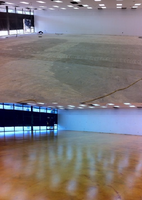 Northern Lights HGS floor before and after Madison Heights MI